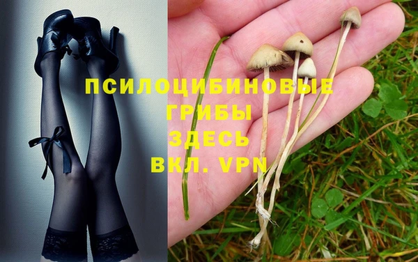 каннабис Дмитров