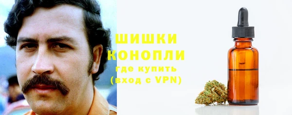дурь Дмитриев