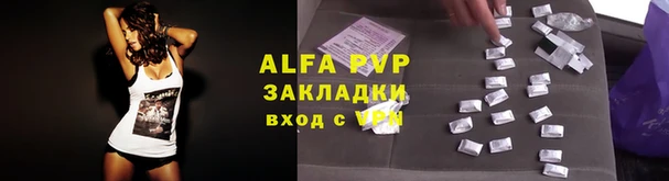 дурь Дмитриев