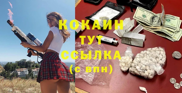 дурь Дмитриев