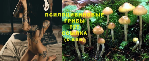 дурь Дмитриев