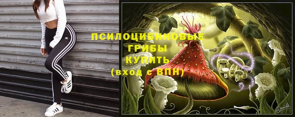 герыч Дмитровск