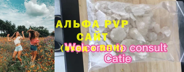 дурь Дмитриев