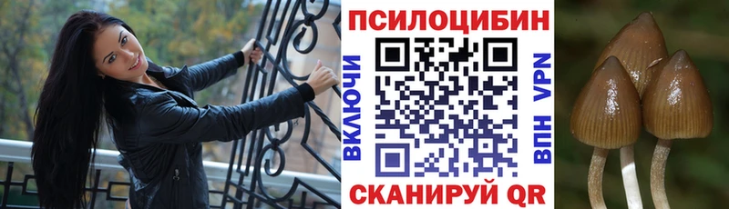 Псилоцибиновые грибы прущие грибы  Купить закладки  Тихвин 